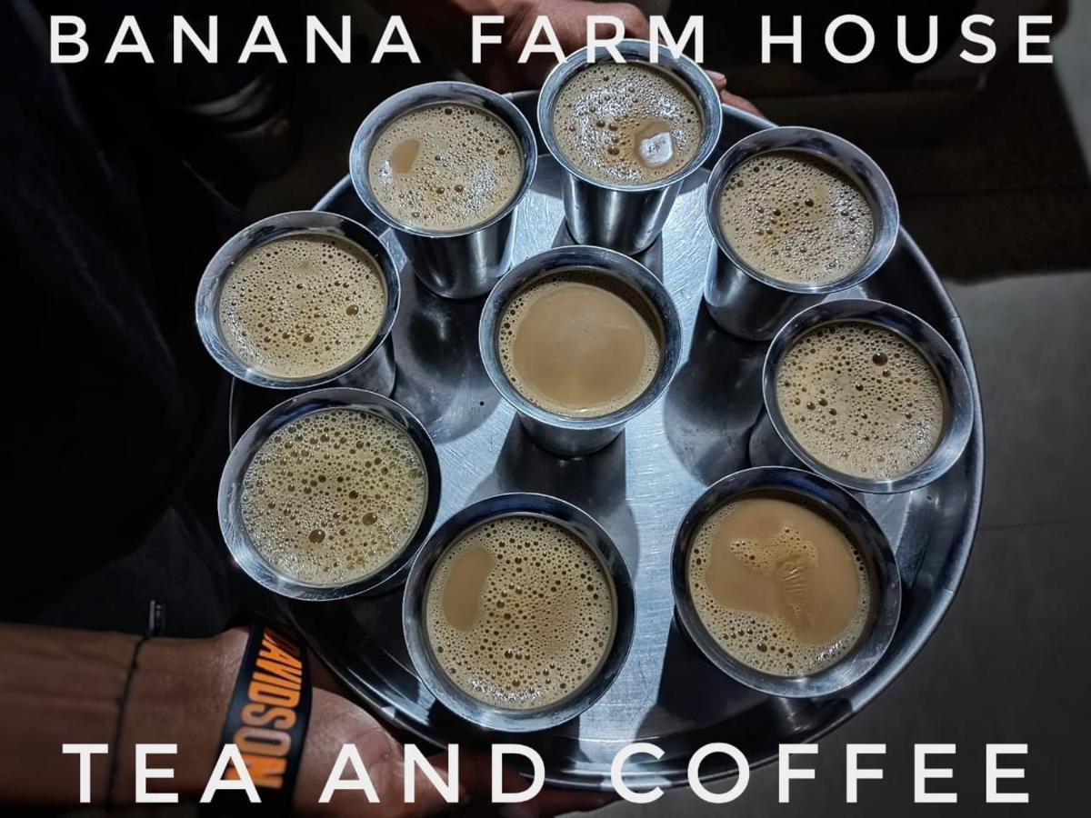 Banana Farm House Hampi Ngoại thất bức ảnh