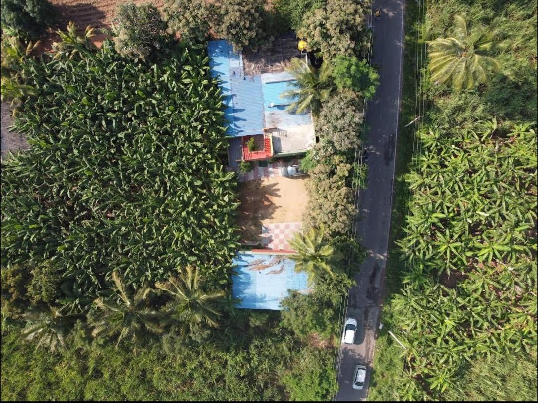 Banana Farm House Hampi Ngoại thất bức ảnh