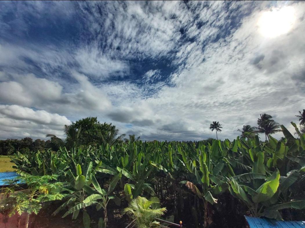 Banana Farm House Hampi Ngoại thất bức ảnh