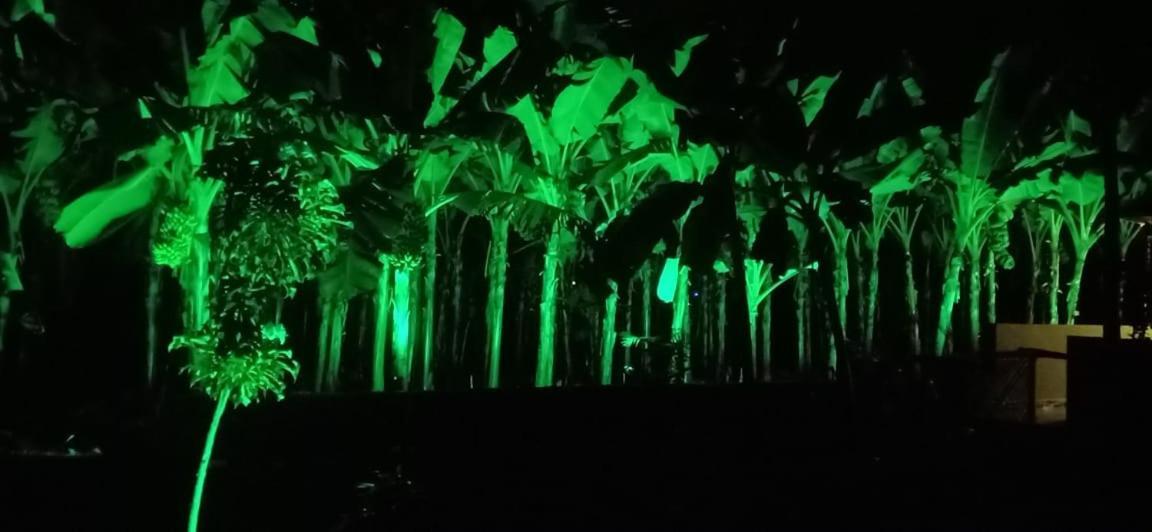 Banana Farm House Hampi Ngoại thất bức ảnh